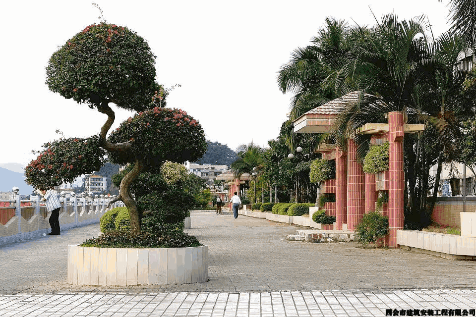 Gif_289.gif